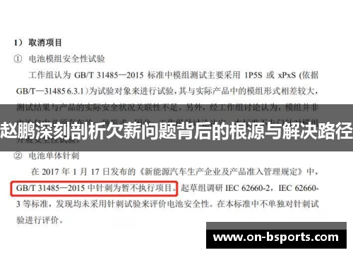 赵鹏深刻剖析欠薪问题背后的根源与解决路径