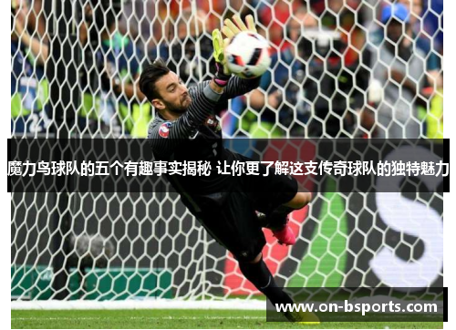 魔力鸟球队的五个有趣事实揭秘 让你更了解这支传奇球队的独特魅力
